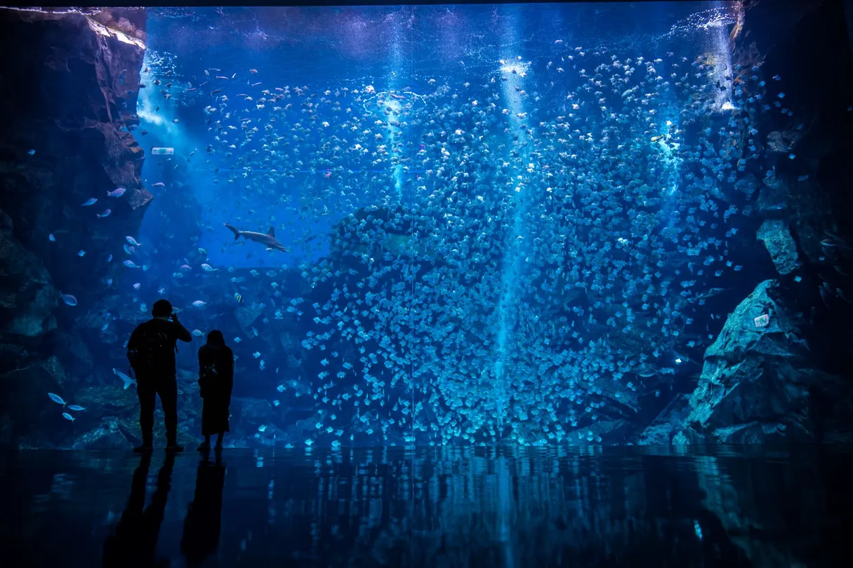 5_Xpark 水族館