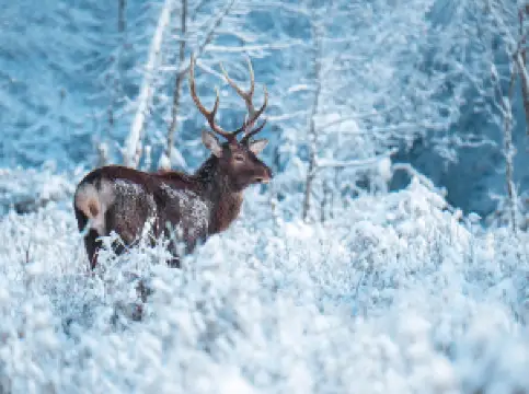 Erlang Mountain National Forest Park