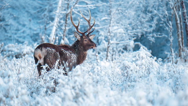 Erlang Mountain National Forest Park