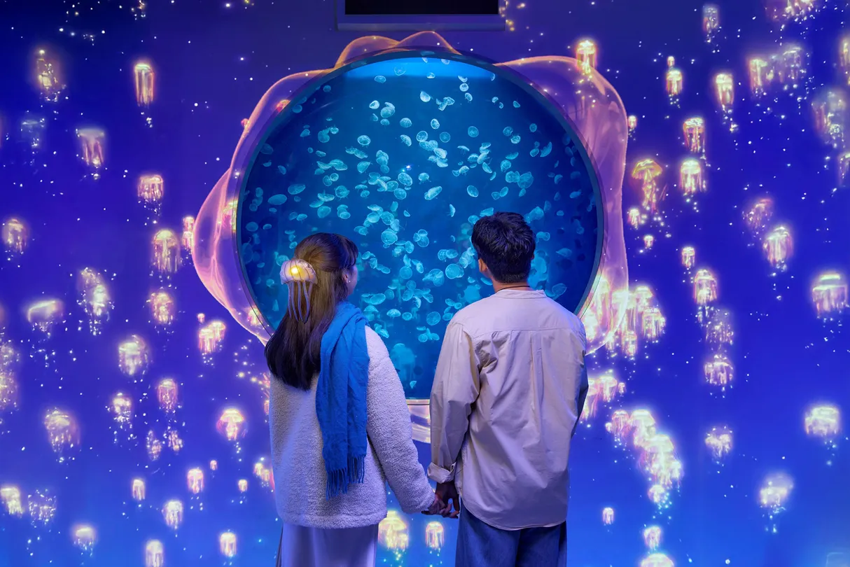 5_Xpark 水族館