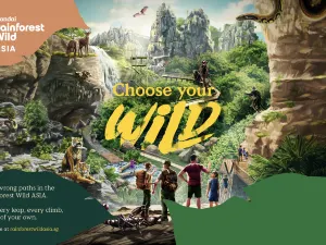 Rainforest Wild ASIA