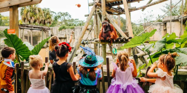 羅瑞公園動物園