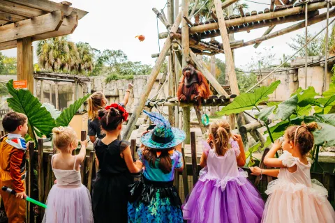 ZooTampa at Lowry Park