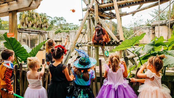 ZooTampa at Lowry Park