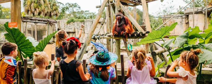 ZooTampa at Lowry Park