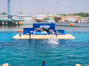 Ledao Ocean Kingdom