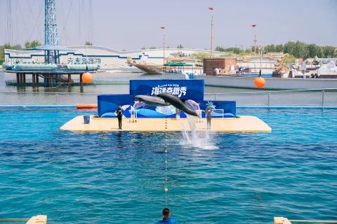Ledao Ocean Kingdom
