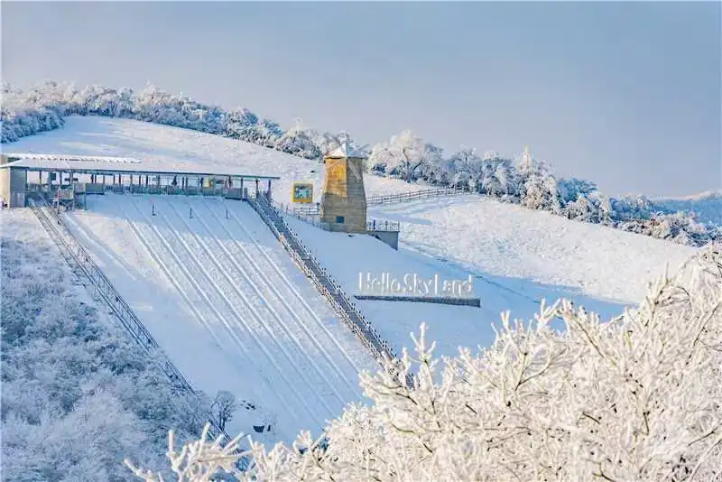 Hotels near Sky Land