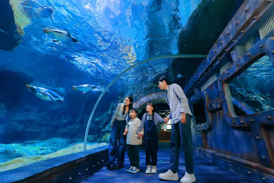 5_Zhengzhou Aquarium