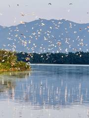 天湖鷺鳥生態風景區