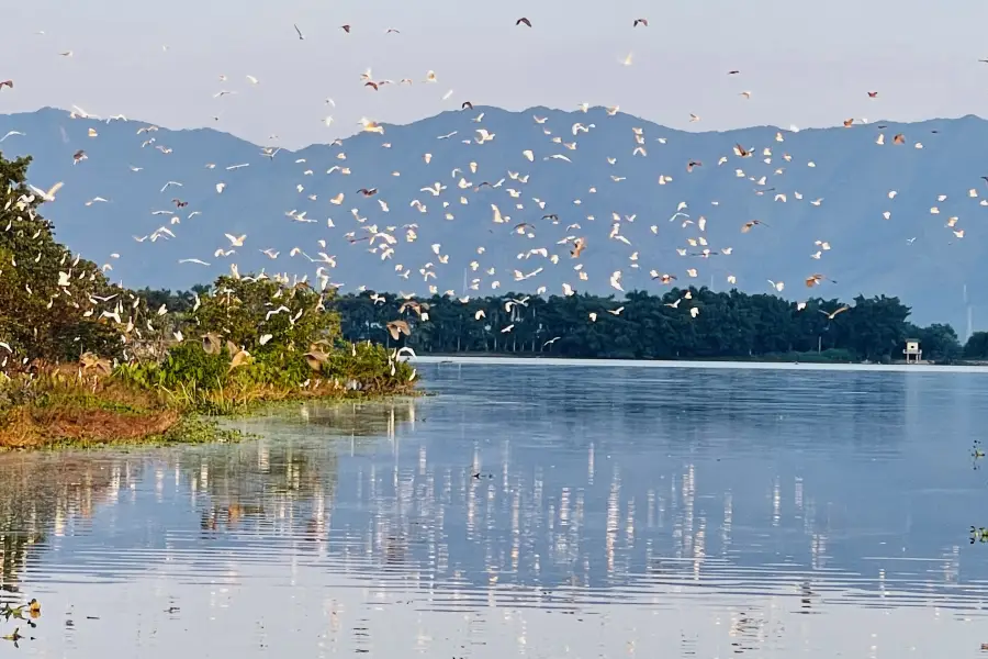 天湖鷺鳥生態風景區