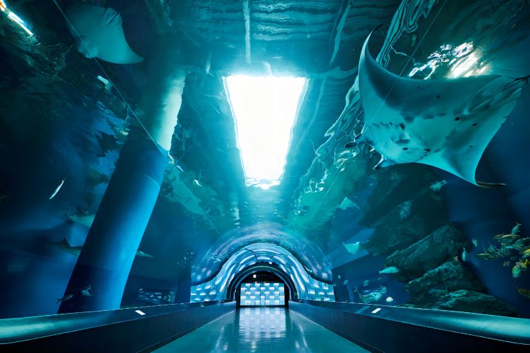 Maxell Aqua Park Shinagawa Tickets [2026] - Promos, Prices