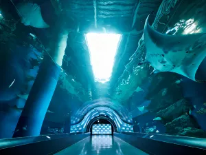Maxell Aqua Park Shinagawa