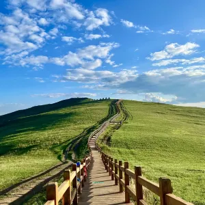哈達門國家森林公園