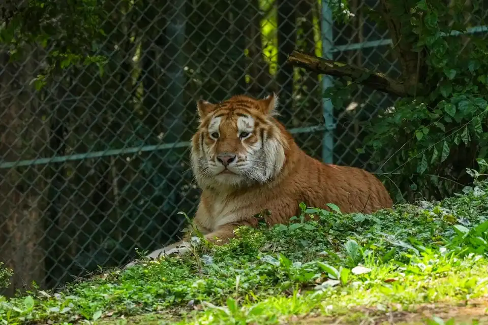 4_Leheledu Animal Theme Park