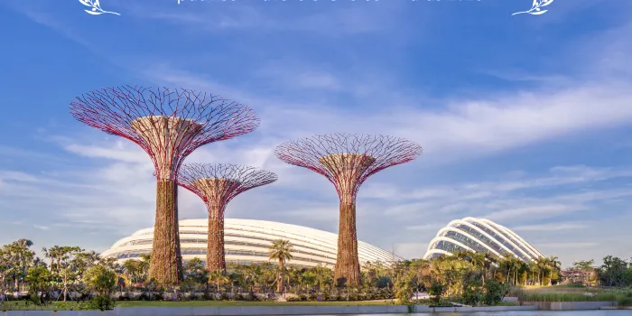 Gardens by the Bay image 2