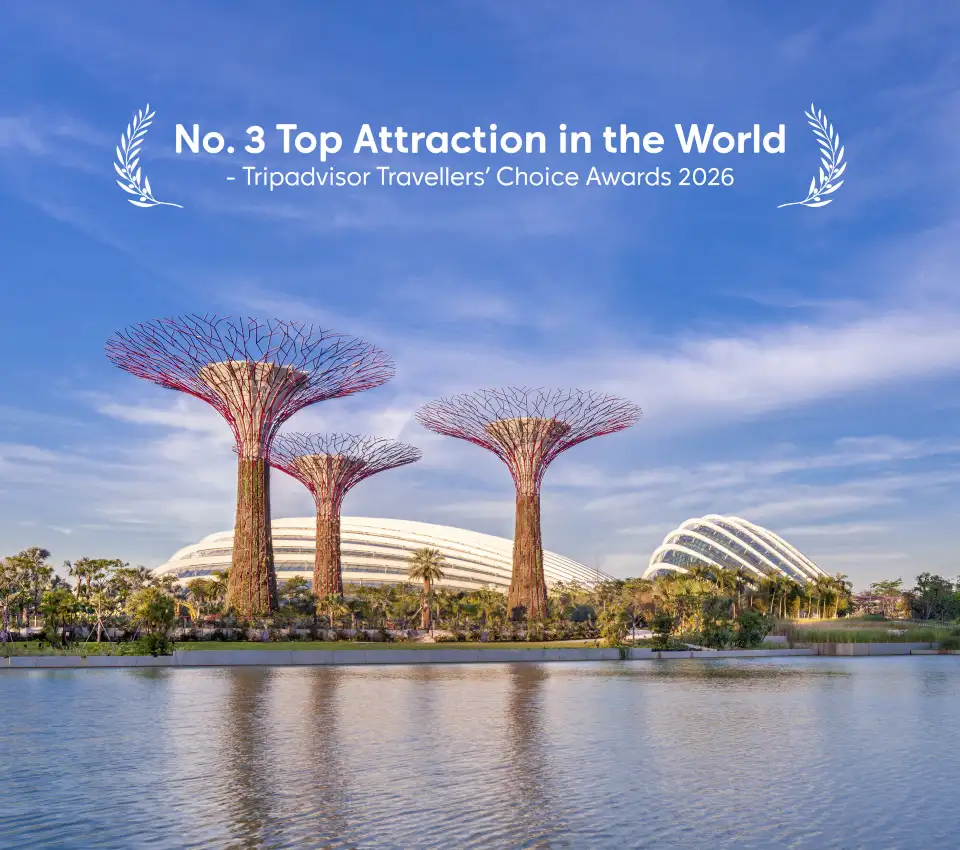 4_Gardens by the Bay