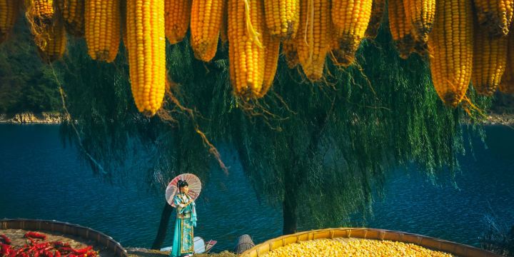 Landscape Gallery of Xin'An River