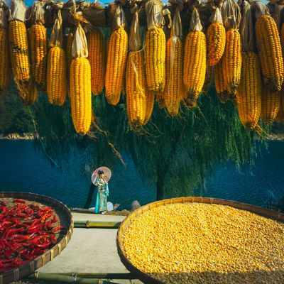 Landscape Gallery of Xin'An River