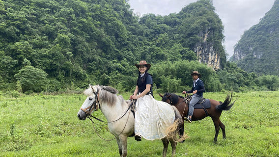 Yingxi Peak Forest Tea-Horse Ancient Road