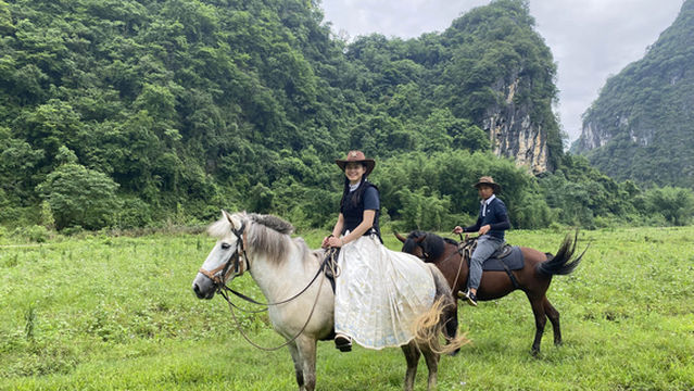 Yingxi Peak Forest Tea-Horse Ancient Road