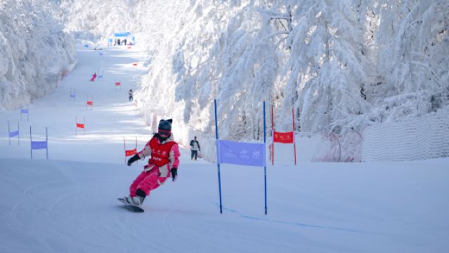 洛陽伏牛山滑雪度假樂園一日遊【洛陽出發|贈4寶3險+景區自由行】