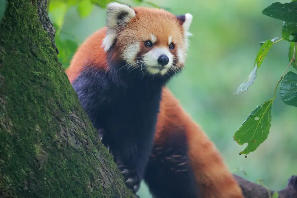 2_Shanghai Zoo
