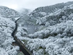 Gold Buddha Mountain