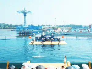 楽島海洋王国