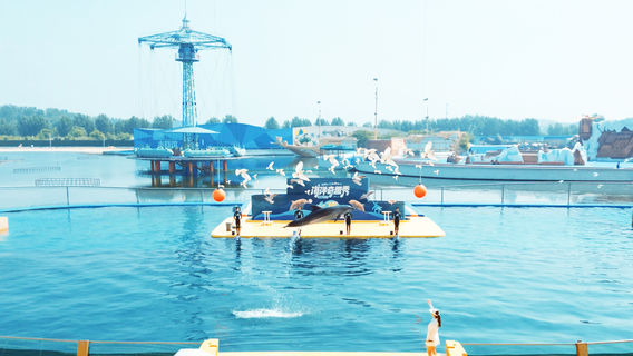 Ledao Ocean Kingdom