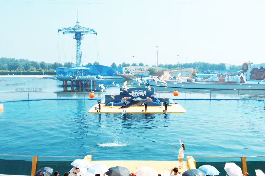 樂島海洋王國