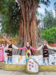 World Cypress King Garden