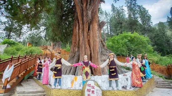 World Cypress King Garden