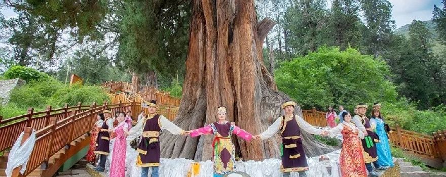 The World Cypress King Park
