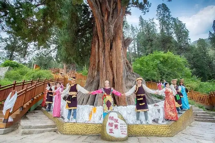Hotels near The World Cypress King Park