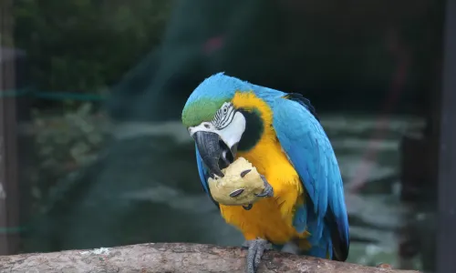 Shangfangshan Forest Zoo