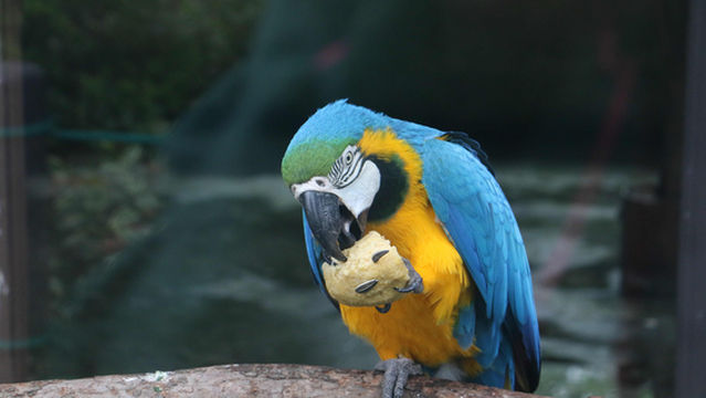 Shangfangshan Forest Zoo