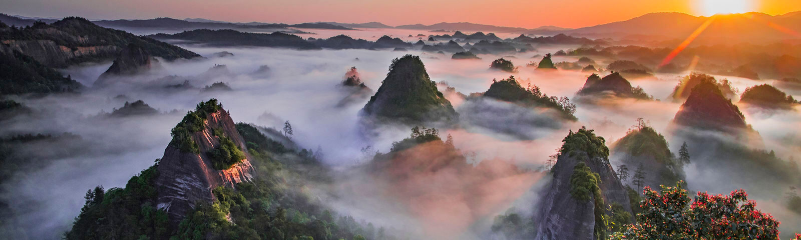 travel