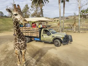 San Diego Zoo Safari Park