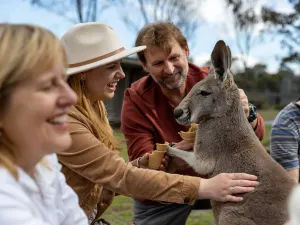 헌터밸리 동물원