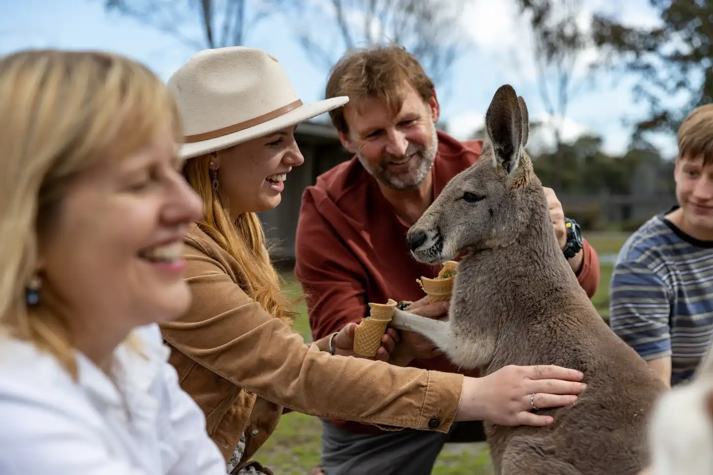 Hotels near Hunter Valley Wildlife Park