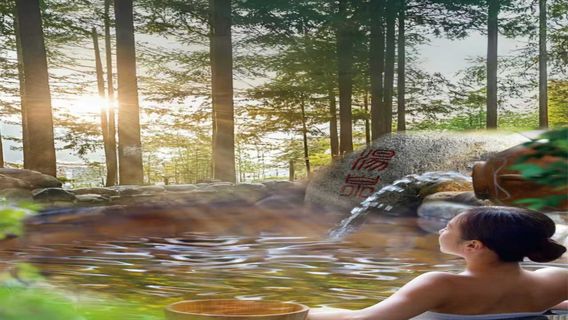 Zilongwan Hotspring International Hotel