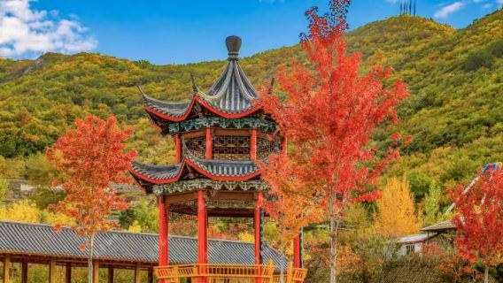Tianxiu Mountain Forest Park