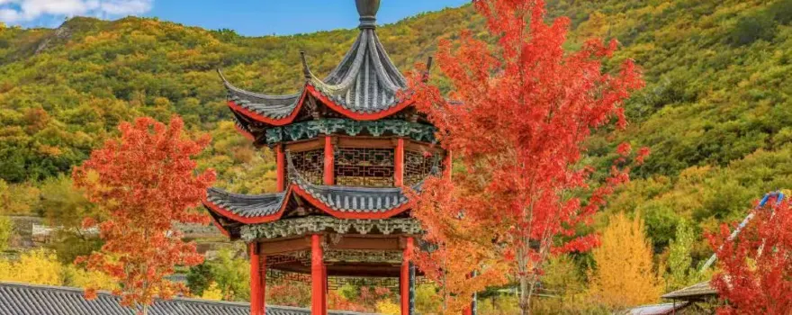 Tianxiu Mountain Forest Park
