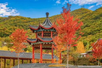 Tianxiu Mountain Forest Park
