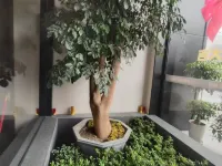 Taizhou Moke Hotel (Taizhou Sports Center) Hotels near Taizhou Sports Center Stadium