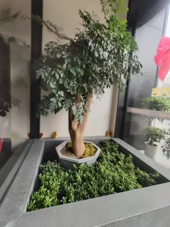 Taizhou Moke Hotel (Taizhou Sports Center) Отели рядом с достопримечательностью «Baiyun Pavilion»