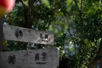 Future Homestay （Xingyi Wanfenglin Store）