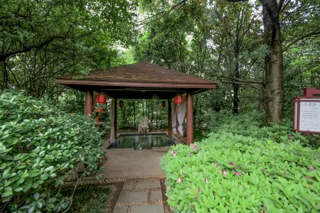 Dolton Changsha Spa Hotel Отели в г. Нинюань