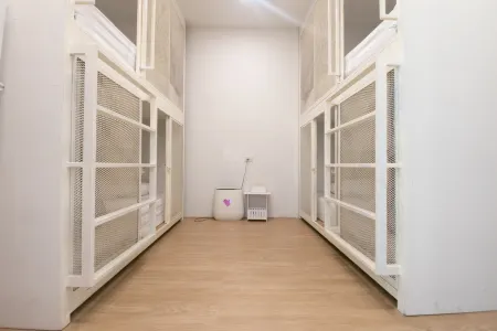 PAKNAP HOSTEL